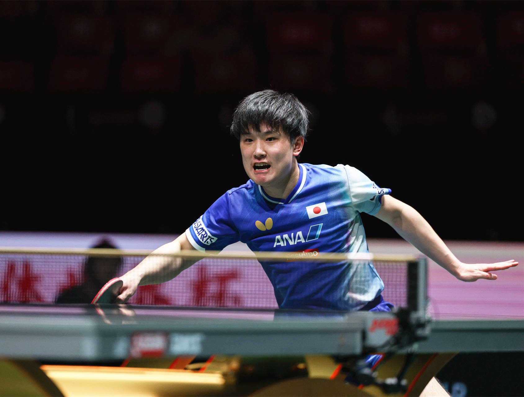 波兰队碾压德国队，张本智和点燃赛场